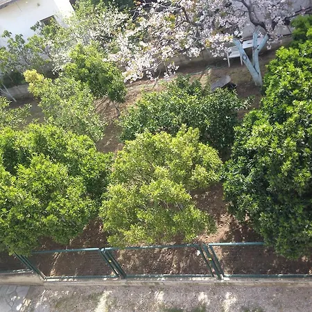 Delimaras نيا سكيوني