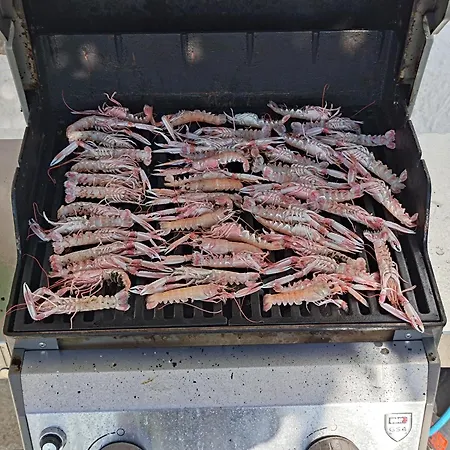 Delimaras Appartement