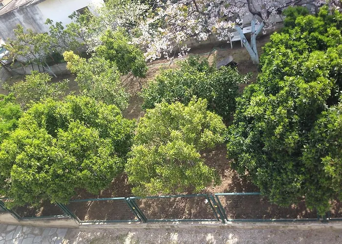 Delimaras ניאה סקיוני